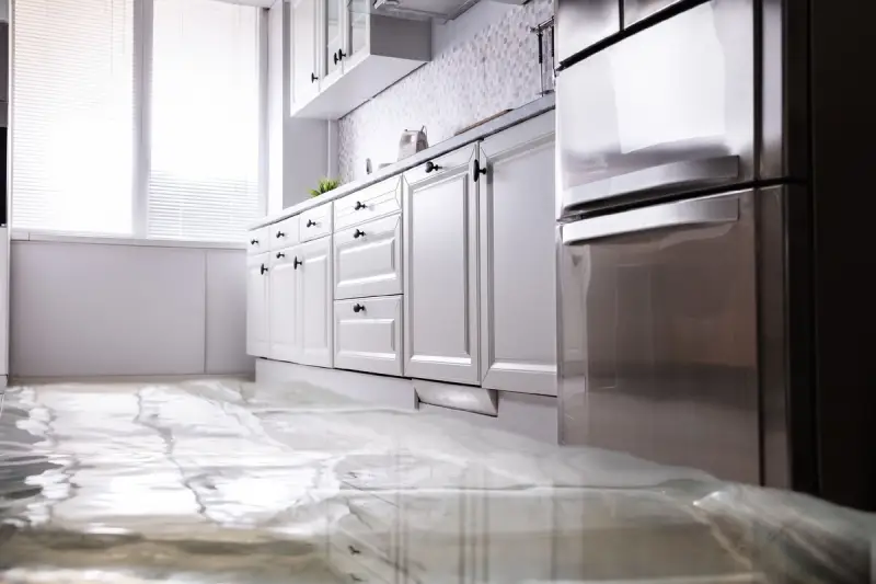  At Steele Environmental Services, our experts respond quickly to assess the damage, extract water, and dry affected areas.